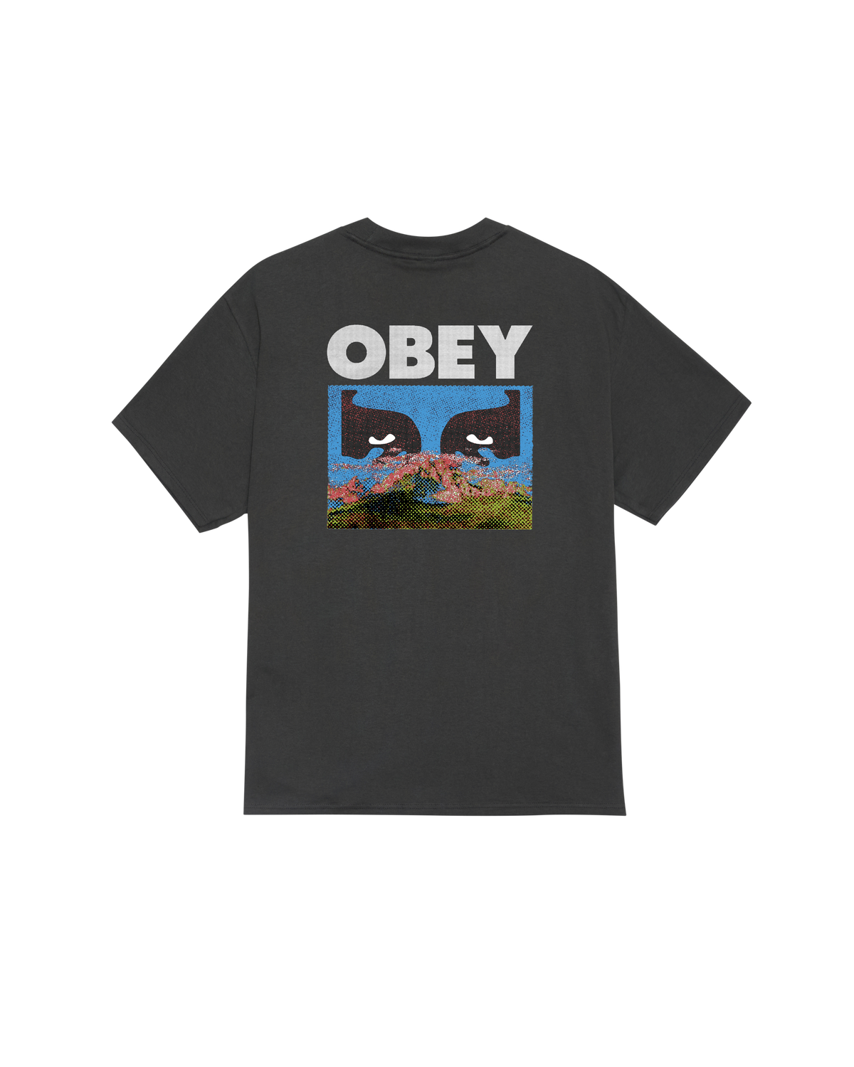 OBEY IN A DIFFERENT PLACE TEE