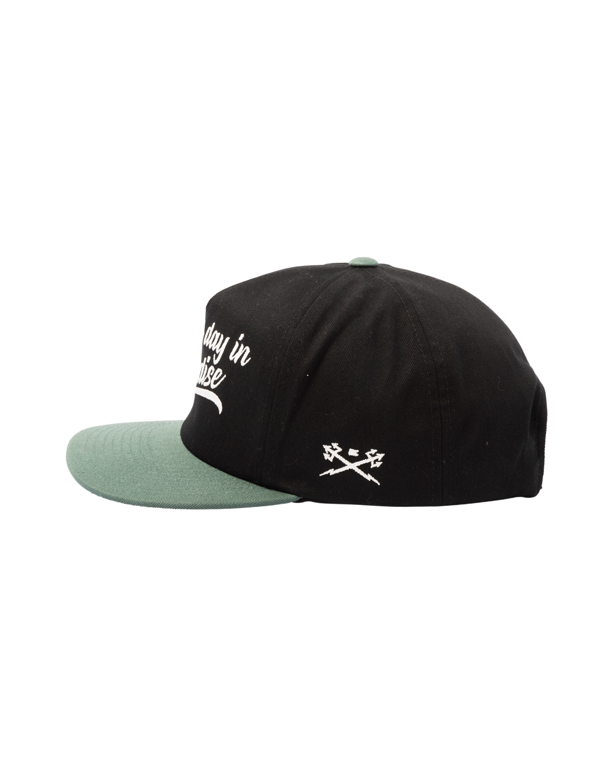 DARK SEAS PARASITE HAT