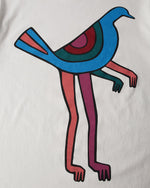 BY PARRA PIGEON LEGS