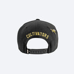 DGK CULTIVATORS SNAPBACK
