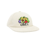 Obey Fruits 6 Panel Snapback