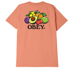 obey bowl of fruit tee