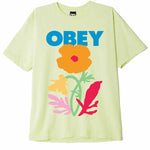 obey no future for apathy